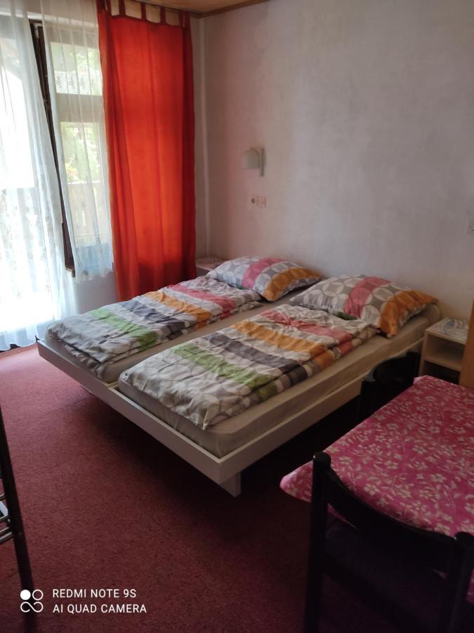 Sobe Grajska Appartement Bled Buitenkant foto